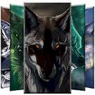  Wolf Wallpapers   -   (Full)
