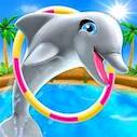 My Dolphin Show   -  