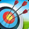  Archery Bow   -  