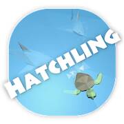  Hatchling   -   