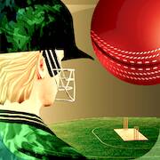  Cricket Fly x Gamifly   -   