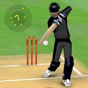  Smashing Cricket: cricket game   -   