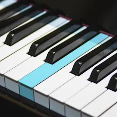 Скачать взлом Real Piano electronic keyboard (Риал Пиано)  [МОД Бесконечные деньги] - последняя версия apk на Андроид