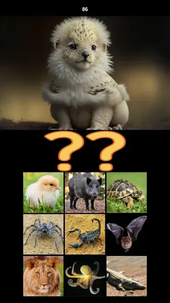 Hybrid Animals Crazy Lab Quiz (Хибридные животные Сумасшедшая лаборатория Викторина)  [МОД Unlimited Money] Screenshot 5