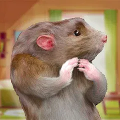 Скачать взломанную Rat Game & Mouse Simulator (Рат Лайф)  [МОД Бесконечные монеты] - последняя версия apk на Андроид