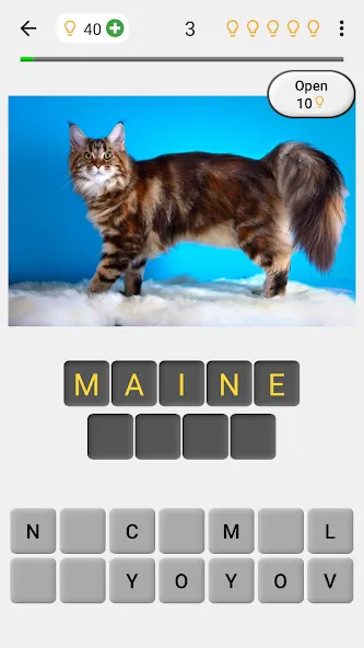 Cats Quiz Guess Popular Breeds  [МОД Mega Pack] Screenshot 1