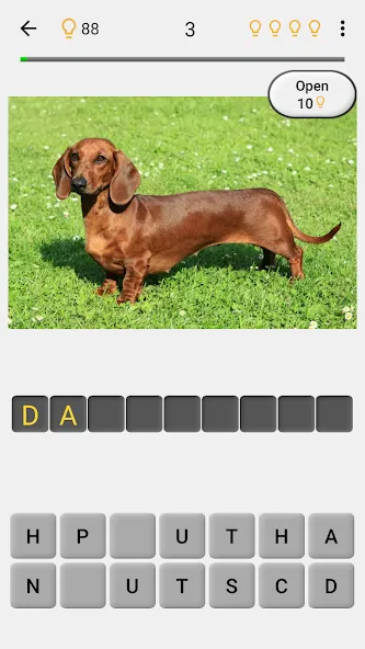 Dogs Quiz - Guess All Breeds!  [МОД Mega Pack] Screenshot 2