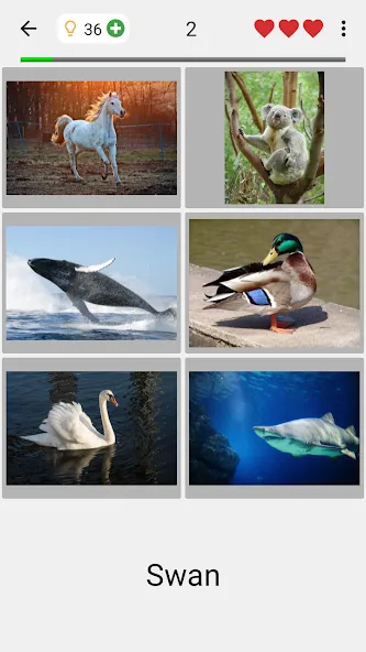 Guess Pictures and Words Quiz  [МОД Все открыто] Screenshot 2