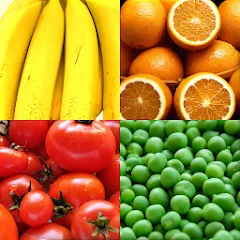 Скачать взломанную Fruit and Vegetables - Quiz  [МОД Много монет] - полная версия apk на Андроид