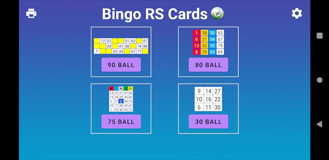 Bingo RS Cards (Бинго РС Карты)  [МОД Unlocked] Screenshot 1