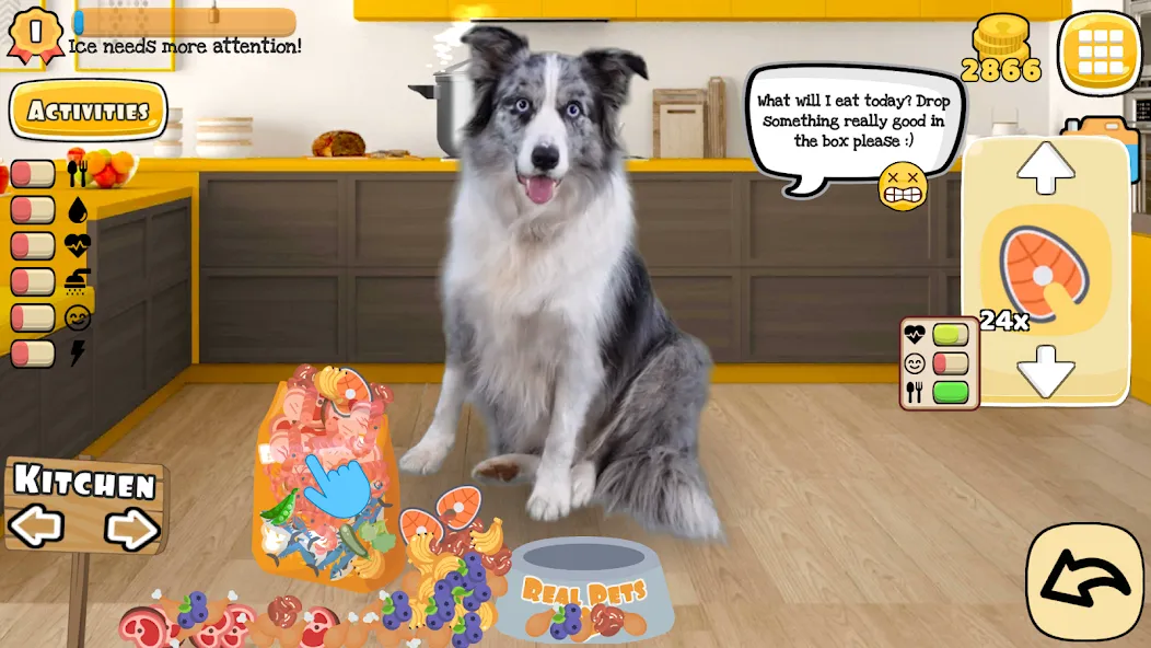 Adopt a pet : Corgi Games (Риал Петс бай Фруви)  [МОД Много денег] Screenshot 1