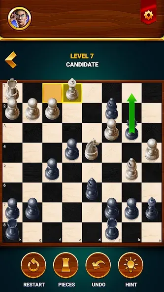 Chess - Offline Board Game  [МОД Menu] Screenshot 5