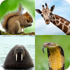 Взломанная Animal Quiz: Guess the Animal  [МОД Menu] - стабильная версия apk на Андроид