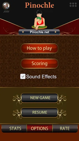 Pinochle.Net  [МОД Все открыто] Screenshot 2