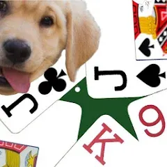 Взломанная K9 Euchre (К9 Юкер)  [МОД Много монет] - полная версия apk на Андроид