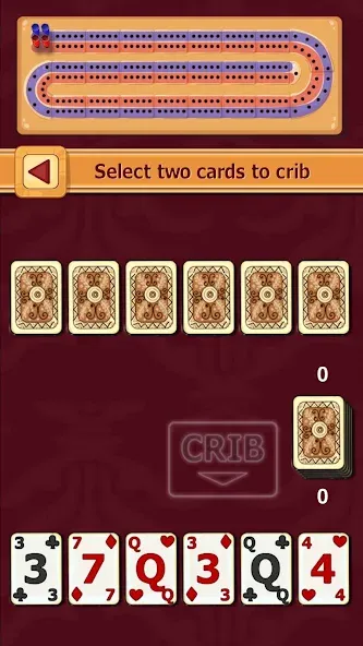 Cribbage (Криббидж)  [МОД Много монет] Screenshot 1