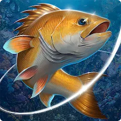 Взлом Fishing Hook  [МОД Меню] - последняя версия apk на Андроид