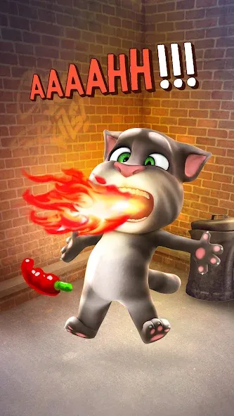 Talking Tom Cat  [МОД Бесконечные монеты] Screenshot 4