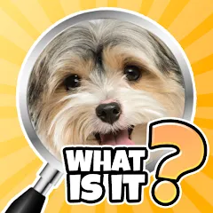 Взломанная What is it? Pics Trivia Quiz  [МОД Unlocked] - последняя версия apk на Андроид