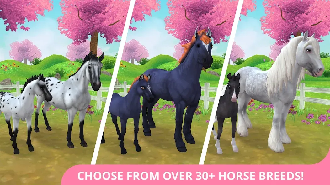 Star Stable Horses (СТар Стабл Хорсес)  [МОД Много денег] Screenshot 1