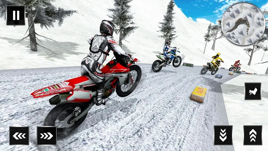 Motocross Dirt Bike Champions (Мотокросс Чемпионы Грязевых Мотоциклов)  [МОД Unlocked] Screenshot 3