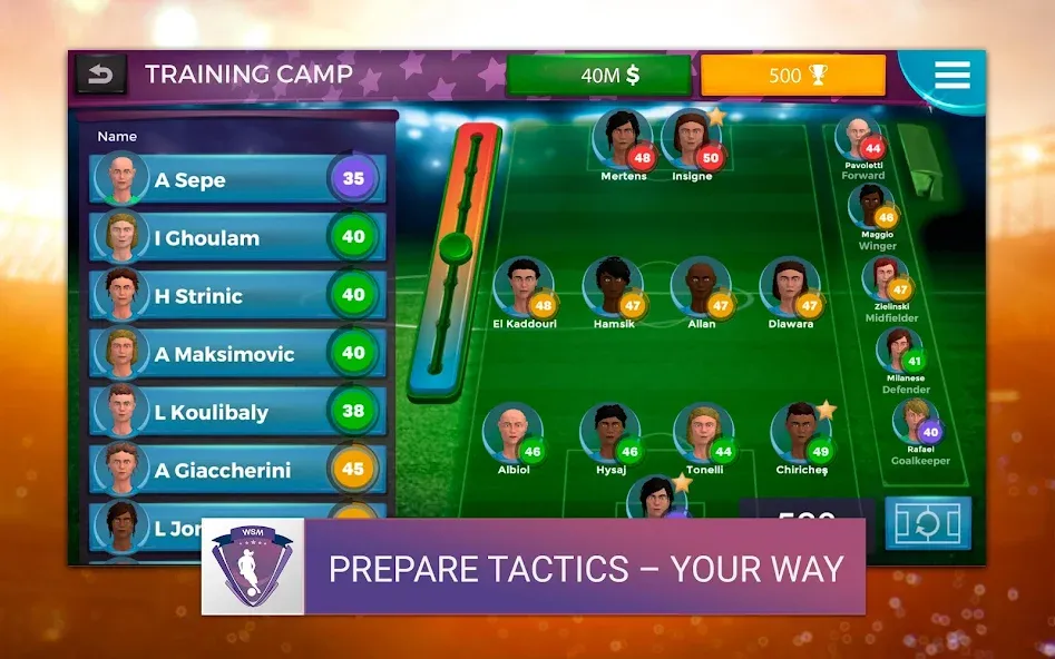 WSM - Women's Soccer Manager (ВСМ)  [МОД Бесконечные деньги] Screenshot 5