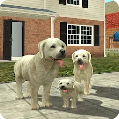 Скачать взлом Dog Sim Online: Raise a Family  [МОД Бесконечные монеты] - полная версия apk на Андроид