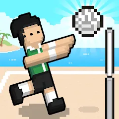 Скачать взломанную Volley Random (Воллей Рэндом)  [МОД Mega Pack] - последняя версия apk на Андроид