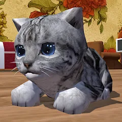 Взлом Cute Pocket Cat 3D (Сьют Покет Кэт 3Д)  [МОД Много монет] - последняя версия apk на Андроид