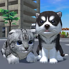 Взломанная Cute Pocket Cat And Puppy 3D (Кьют Покет Кэт Энд Паппи 3Д)  [МОД Бесконечные монеты] - полная версия apk на Андроид