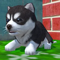 Скачать взлом Cute Pocket Puppy 3D (Сьют Покет Паппи 3Д)  [МОД Много денег] - стабильная версия apk на Андроид