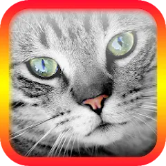 Скачать взломанную Translator for Cats Prank  [МОД Menu] - стабильная версия apk на Андроид