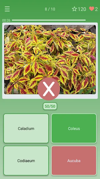 Quiz: Flowers, Plants  [МОД Unlimited Money] Screenshot 3
