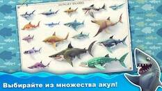  Hungry Shark World   -   