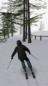  Alpine Ski III   -  